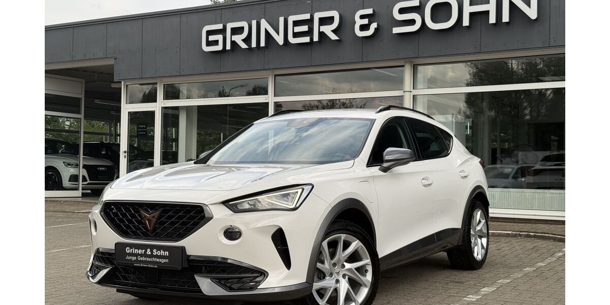 Cupra Formentor 61.540 km 21.250 &euro; Lemwerder 27809