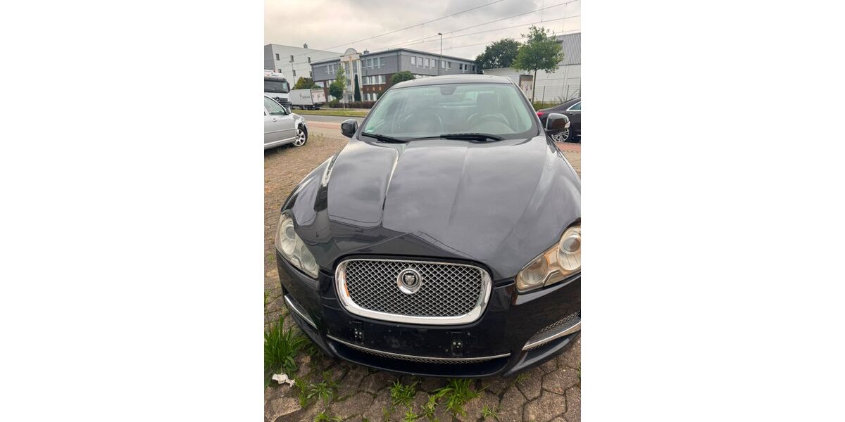 Jaguar XF 220.000 km 3.800 &euro; Bremen 28329