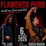 Flamenco Puro