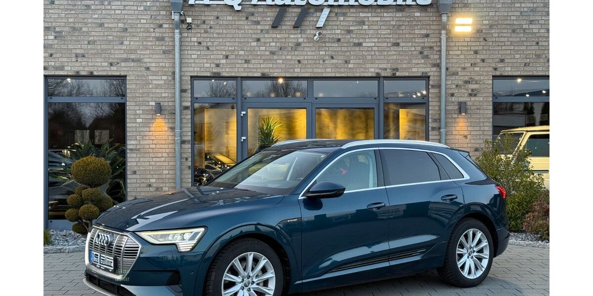 Audi e-tron 72.989 km 28.990 &euro; Stuhr 28816