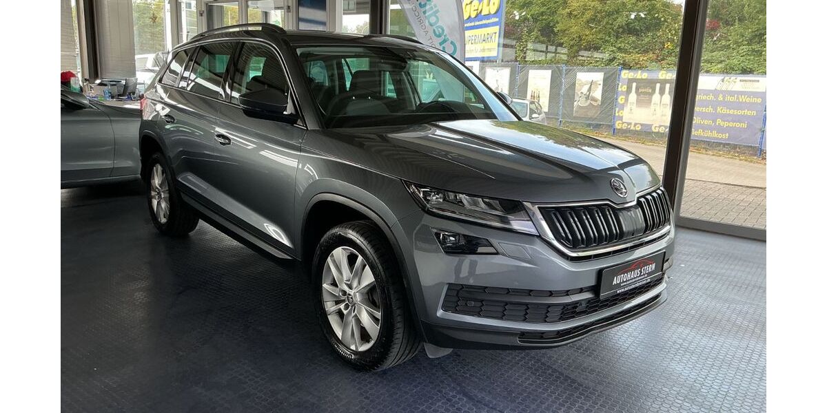 Skoda Kodiaq 250.000 km 16.000 &euro; Bremen 28201